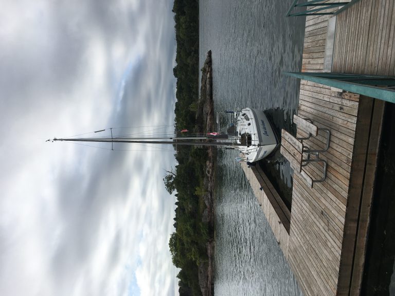 IMG_9566.jpeg