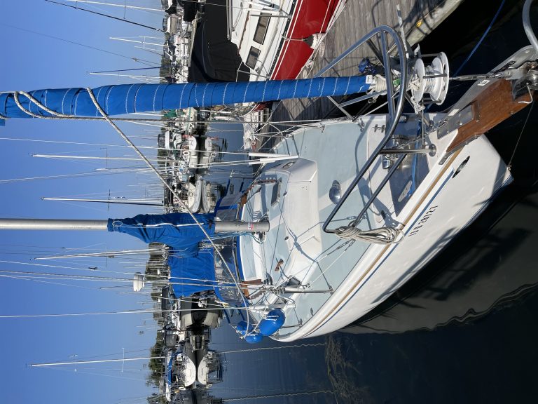 IMG_2634[1].JPG