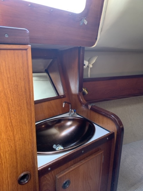 IMG_5772 – taille moyenne.jpeg