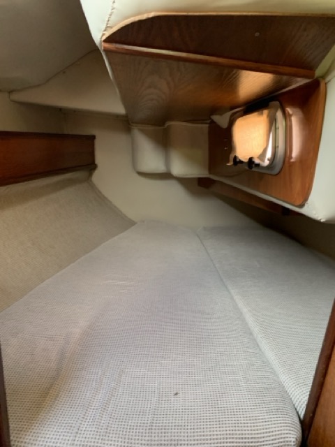 IMG_5773 – taille moyenne.jpeg