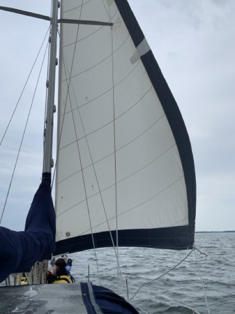 IMG_7587 – taille moyenne.jpeg