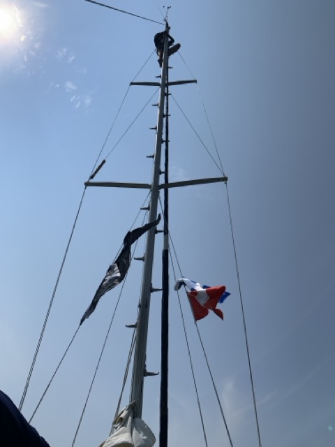 IMG_7869 – taille moyenne.jpeg