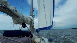 12-À voile.jpg