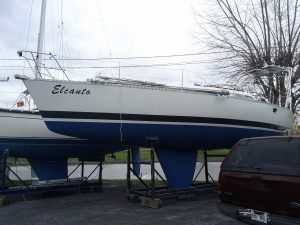 IMG_20121101_125850.jpg